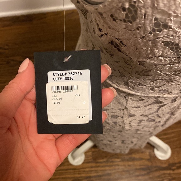 Marina Taupe Lace Dress - Picture 7 of 7